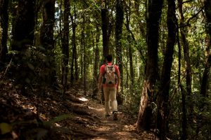 50 Melhores Trilhas do Estado do Rio de Janeiro: Do Litoral à Serra, Aventuras Inesquecíveis